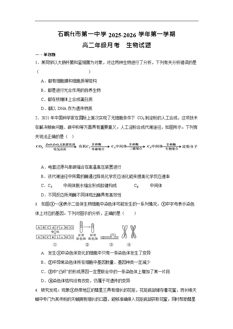 宁夏石嘴山市第一中学2025-2026学年高二上学期10月月考生物试卷第1页