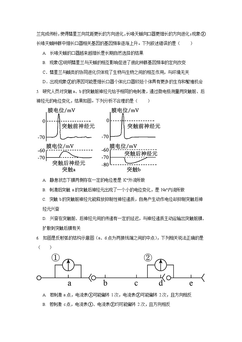 宁夏石嘴山市第一中学2025-2026学年高二上学期10月月考生物试卷第2页