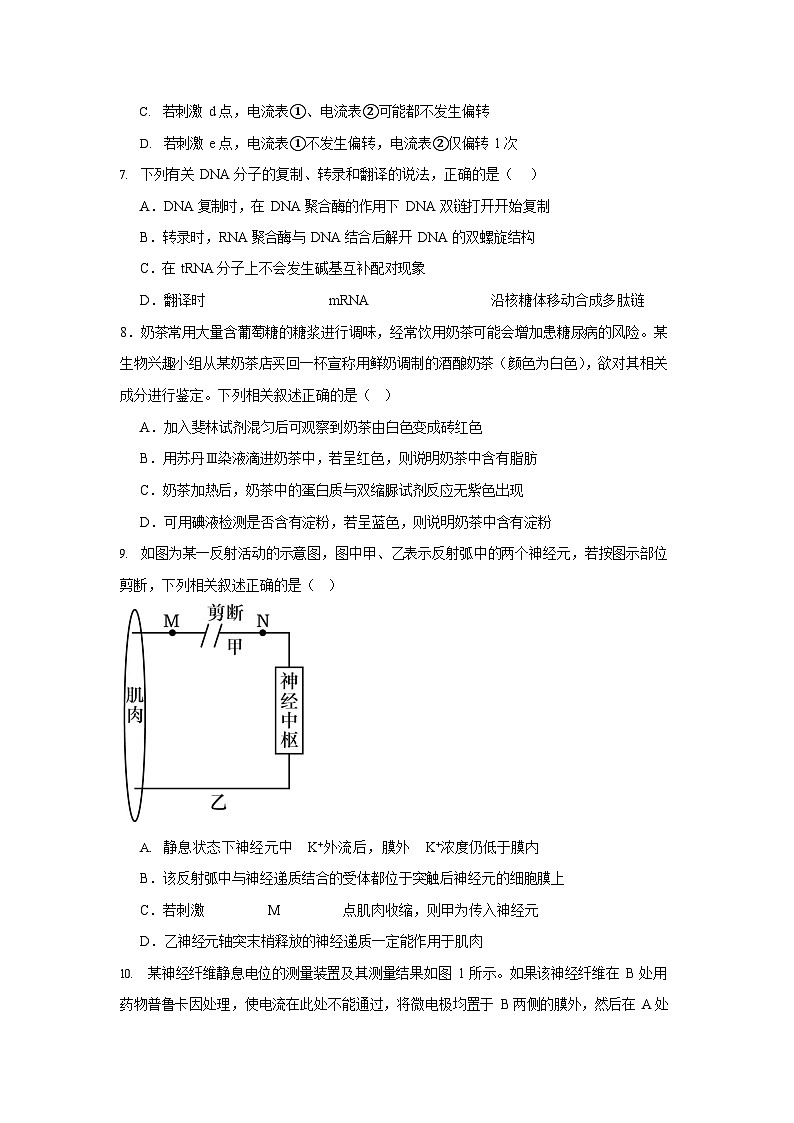 宁夏石嘴山市第一中学2025-2026学年高二上学期10月月考生物试卷第3页
