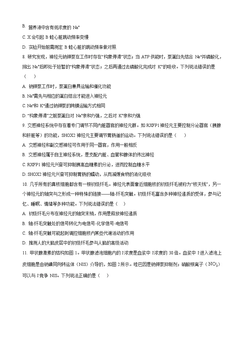 山东省济宁市第一中学2025-2026学年高二上学期10月月考生物试卷第3页