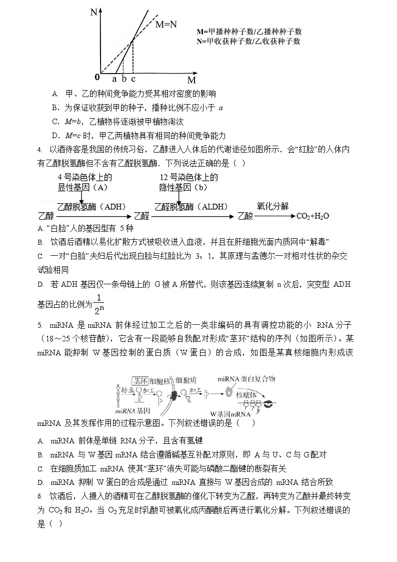 河北省石家庄实验中学2025-2026学年高三上学期10月期中考试生物试卷第2页
