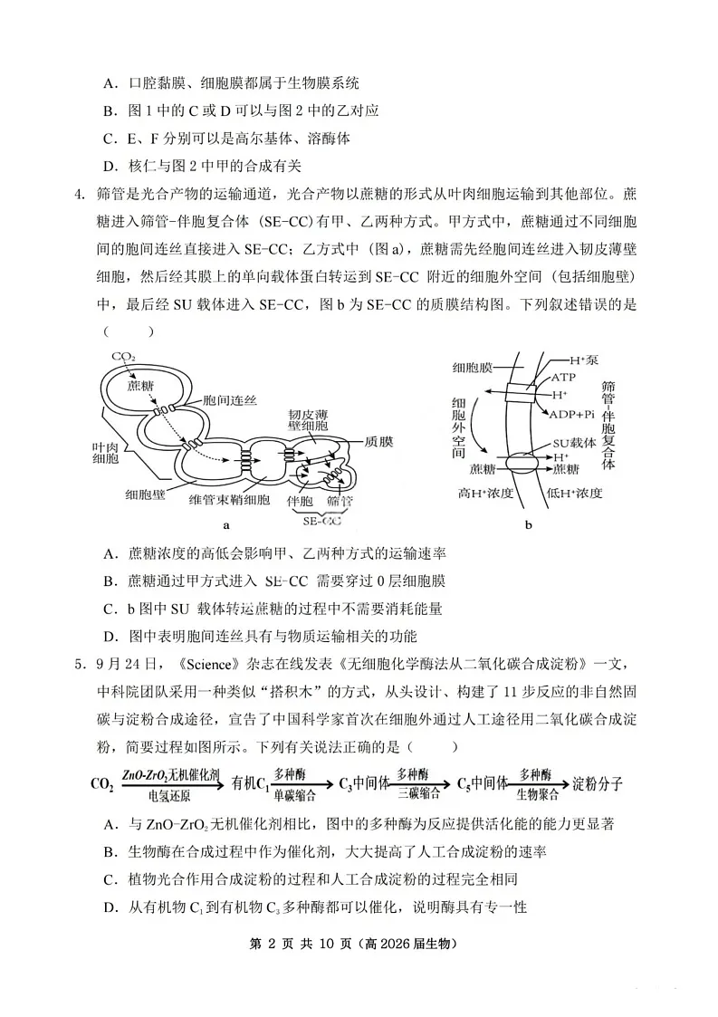 重庆市名校第一次联考2025-2026学年高三上学期10月考试生物试卷第2页