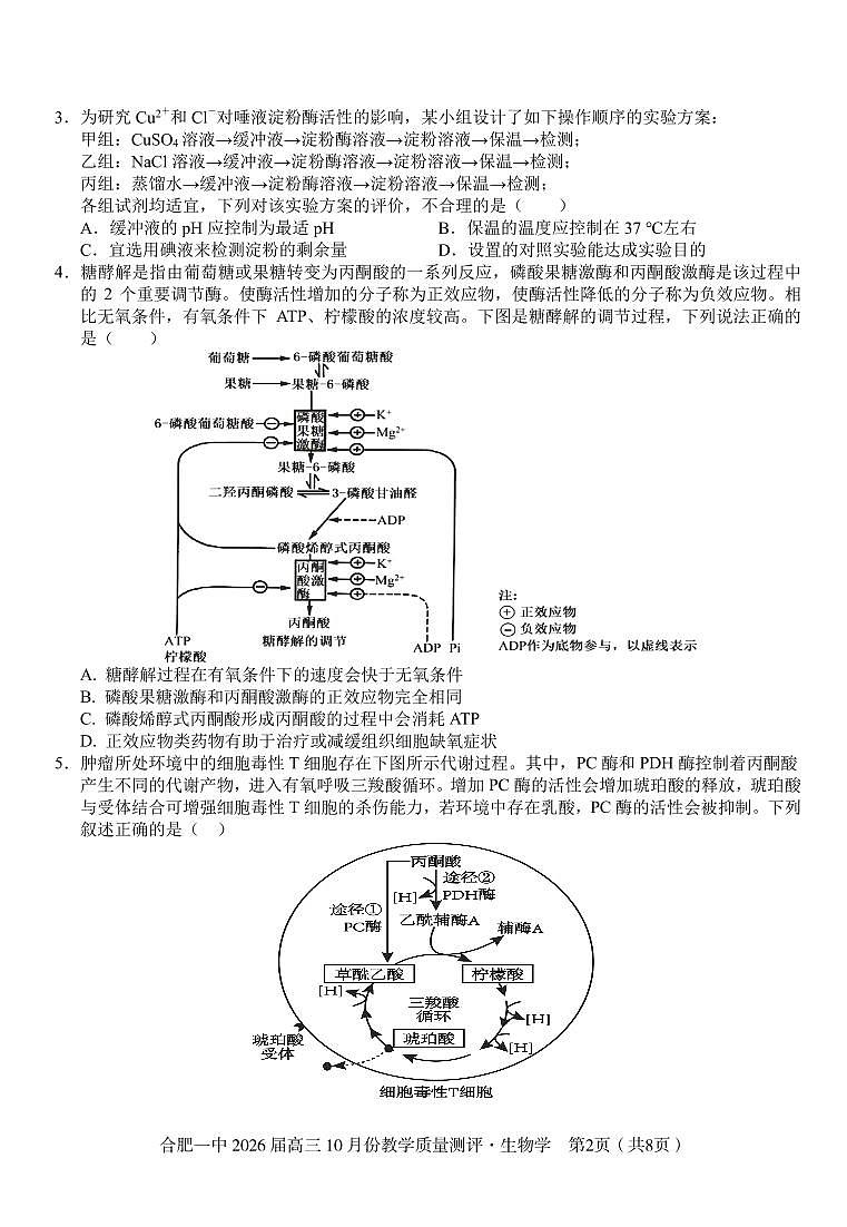 高三10月份教学质量测评生物卷第2页