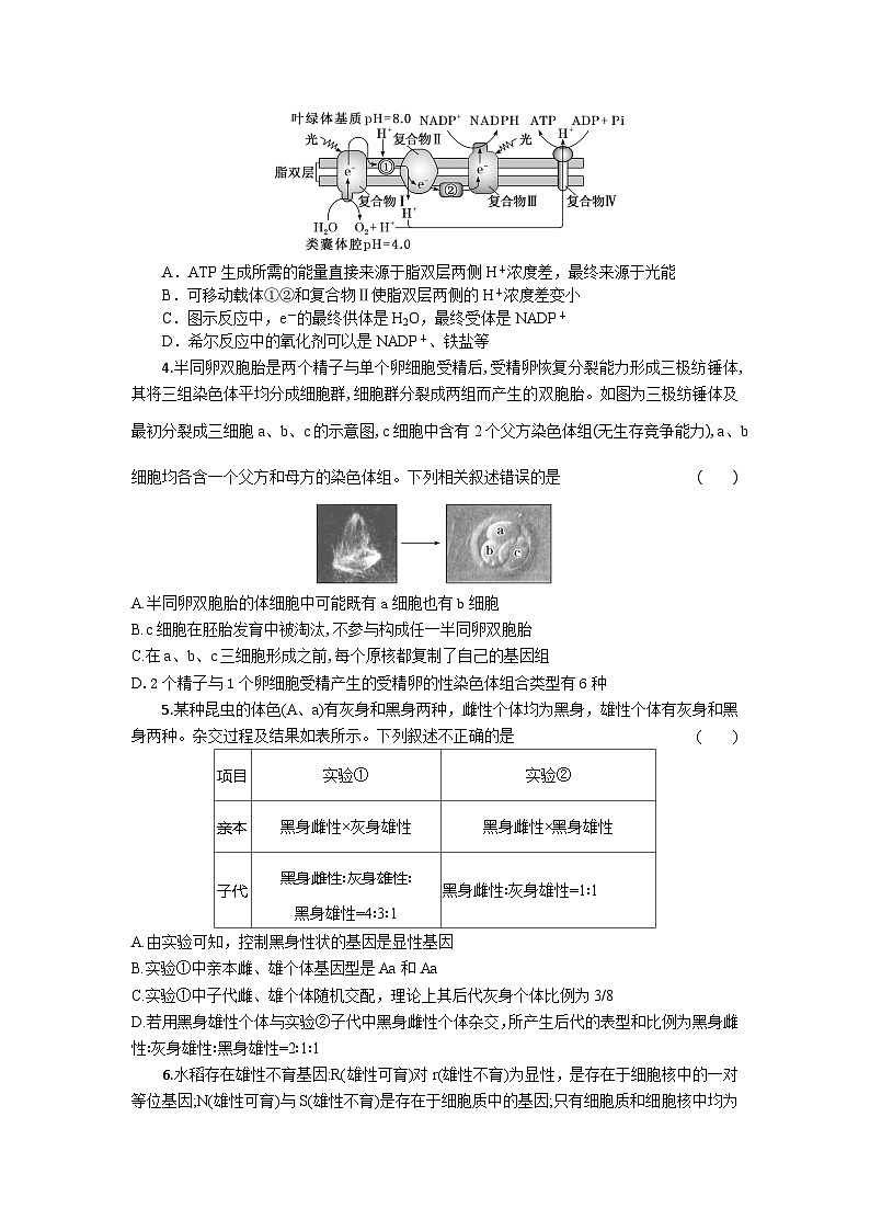 高三生物试题考试版第2页