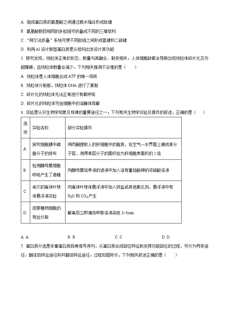 湖北省部分学校2026届高三上学期10月联考生物试题（原卷版）第2页