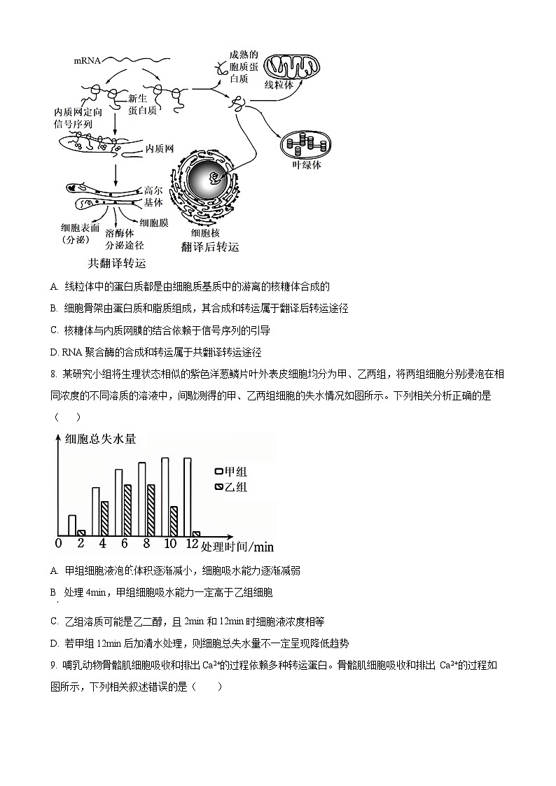 湖北省部分学校2026届高三上学期10月联考生物试题（原卷版）第3页