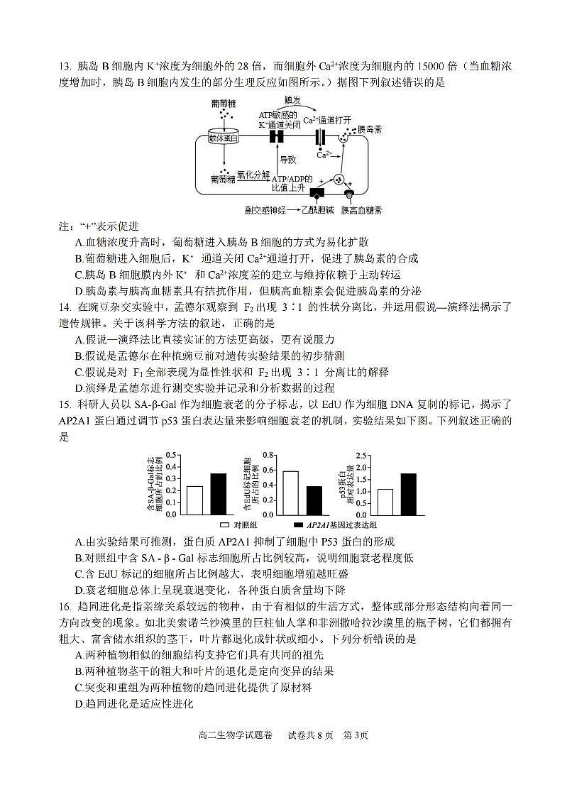 浙江省六校联盟2025-2026学年高二上学期10月月考生物试卷第3页