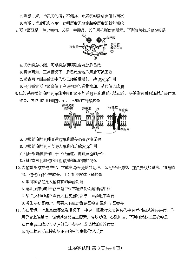2025——2026 学年(上)南阳六校高二年级期中考试生物 生物学第3页