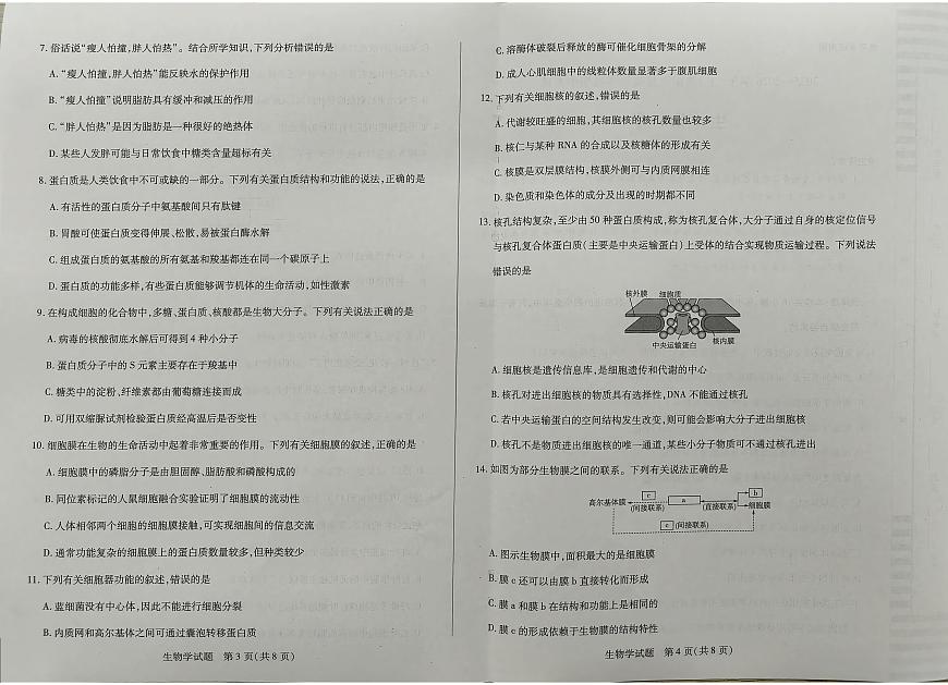 河南省南阳市六校基础年级2025-2026学年高一上学期10月期中生物试题第2页