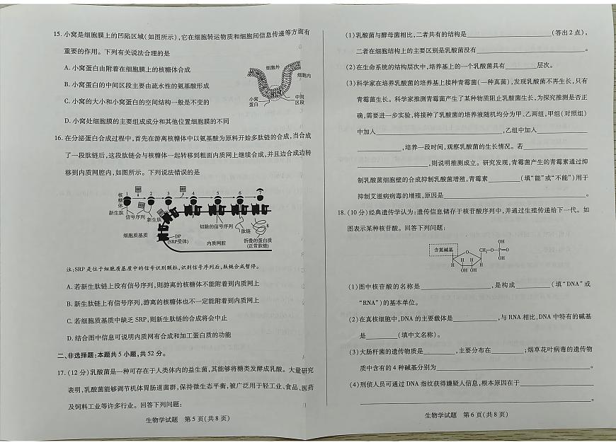 河南省南阳市六校基础年级2025-2026学年高一上学期10月期中生物试题第3页