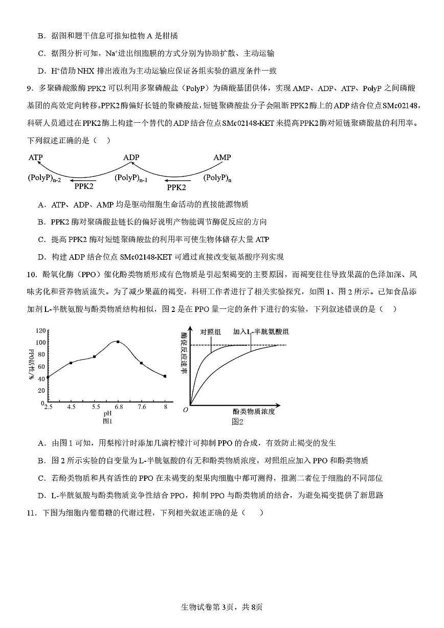 第二次质检生物(10.10)第3页