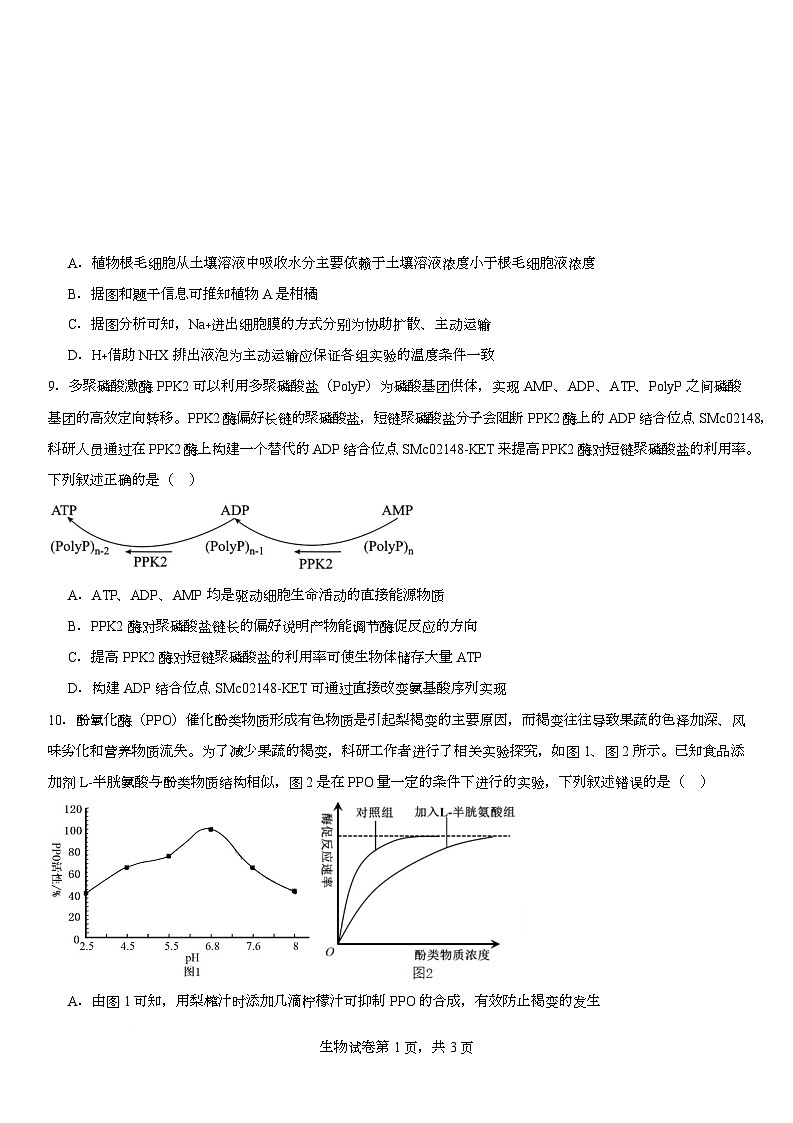 第二次质检生物(10.10)第3页