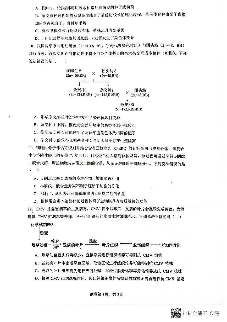 福建省厦门外国语学校2025—2026学年高三上学期10月考试生物试题第3页