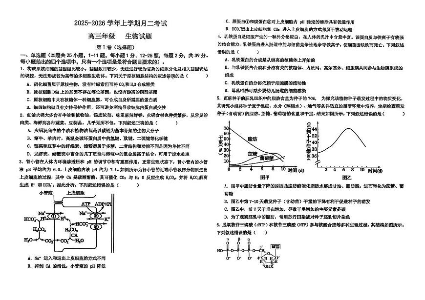 河北省衡水市冀州区河北冀州中学2025-2026学年高三上学期10月月考生物试题第1页
