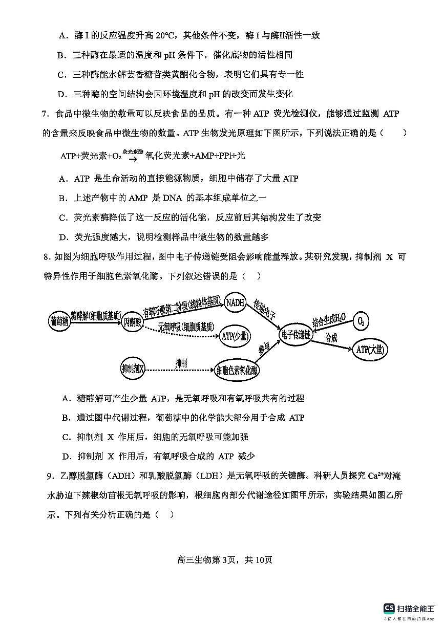 河南省濮阳市华龙区濮阳外国语学校2025-2026学年高三上学期10月月考生物试题第3页