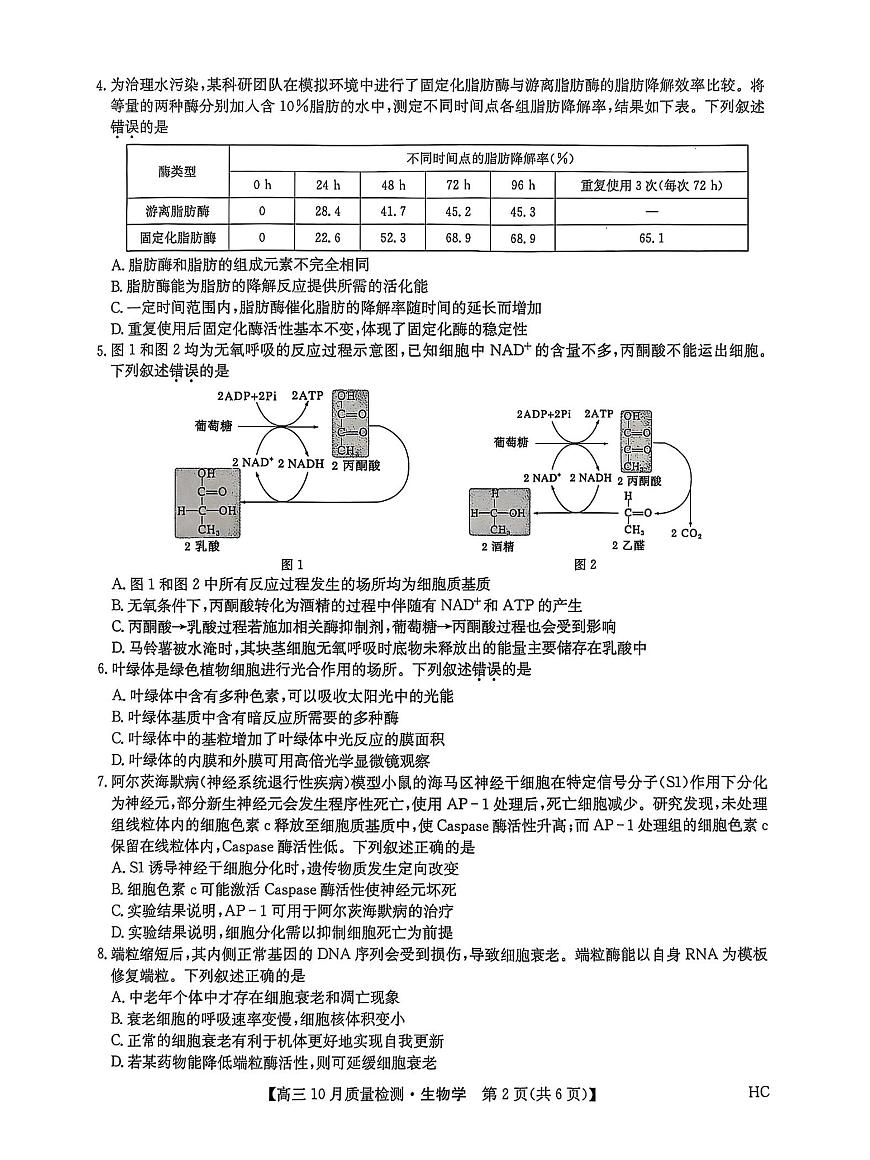 黑龙江省九师联盟2025-2026学年高三上学期10月月考生物试题第2页