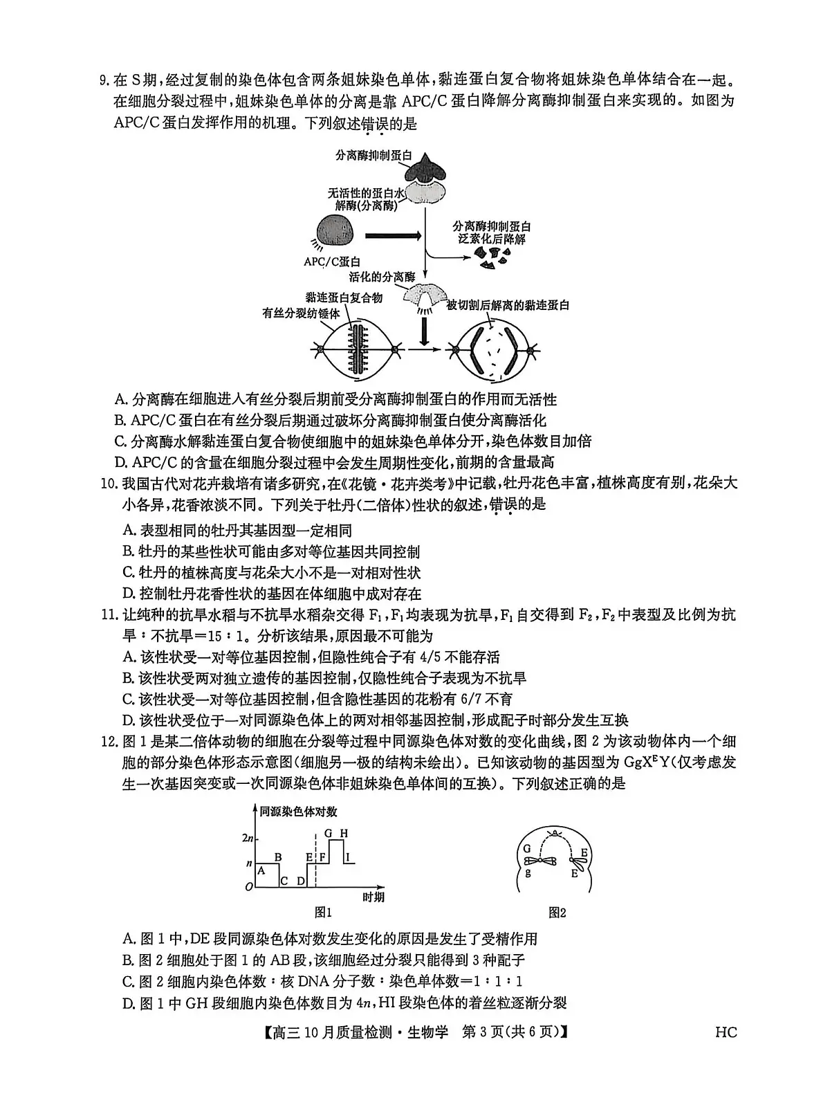 MyFiles 生物第3页