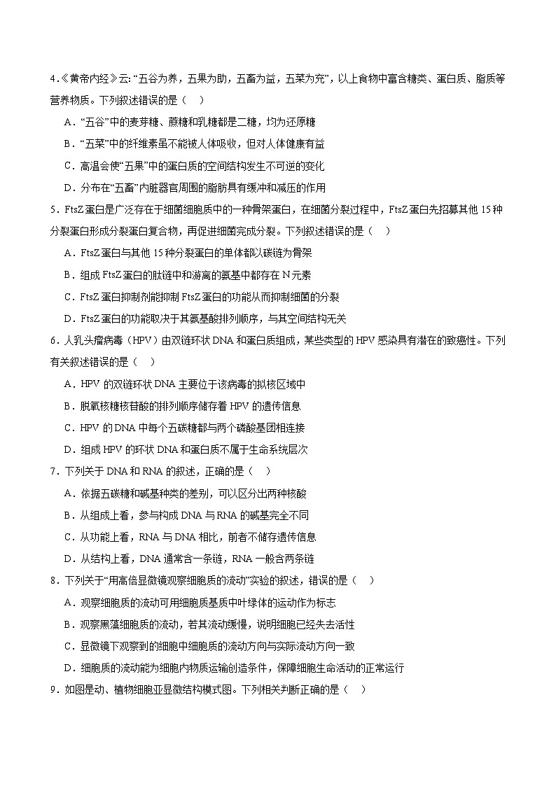 甘肃省多校2025-2026学年高一上学期第一次月考生物试卷（Word版附答案）第2页