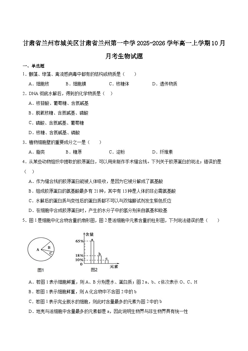 甘肃省兰州第一中学2025-2026学年高一上学期10月月考生物试卷（Word版附答案）第1页