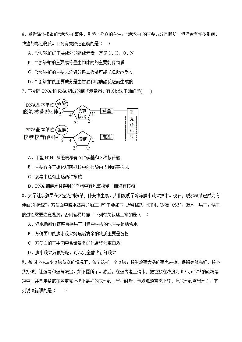 甘肃省兰州第一中学2025-2026学年高一上学期10月月考生物试卷（Word版附答案）第2页