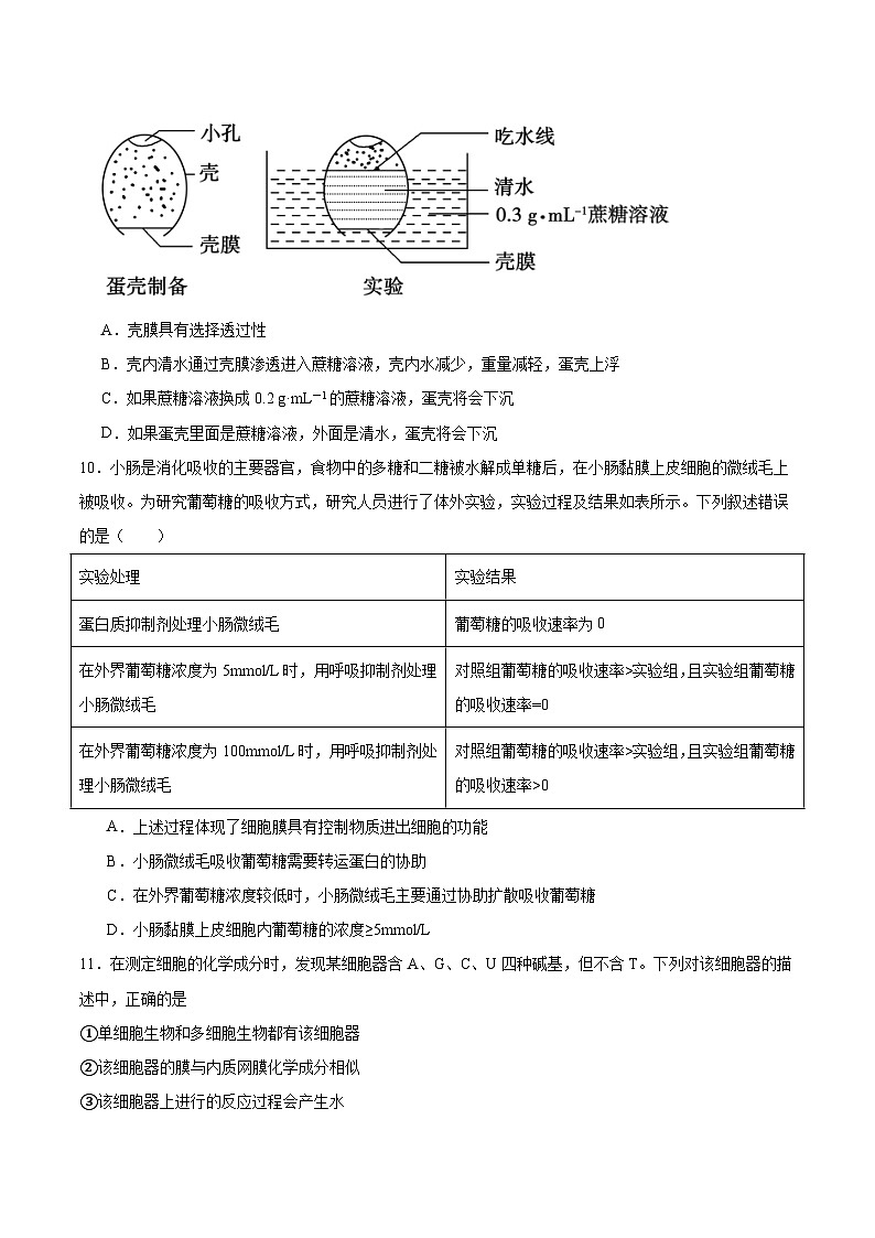 甘肃省兰州第一中学2025-2026学年高一上学期10月月考生物试卷（Word版附答案）第3页