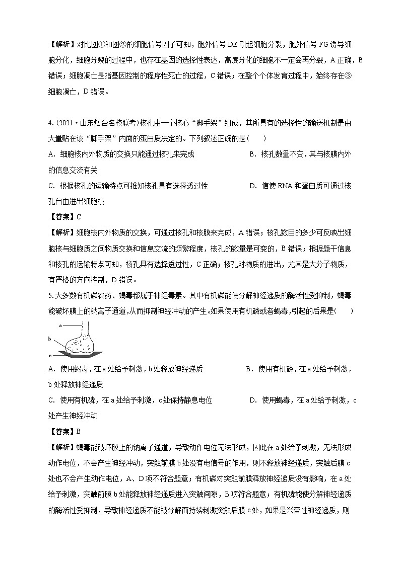 清远一中2025-2026学年度高三上学期期末考试生物试卷 解析第2页