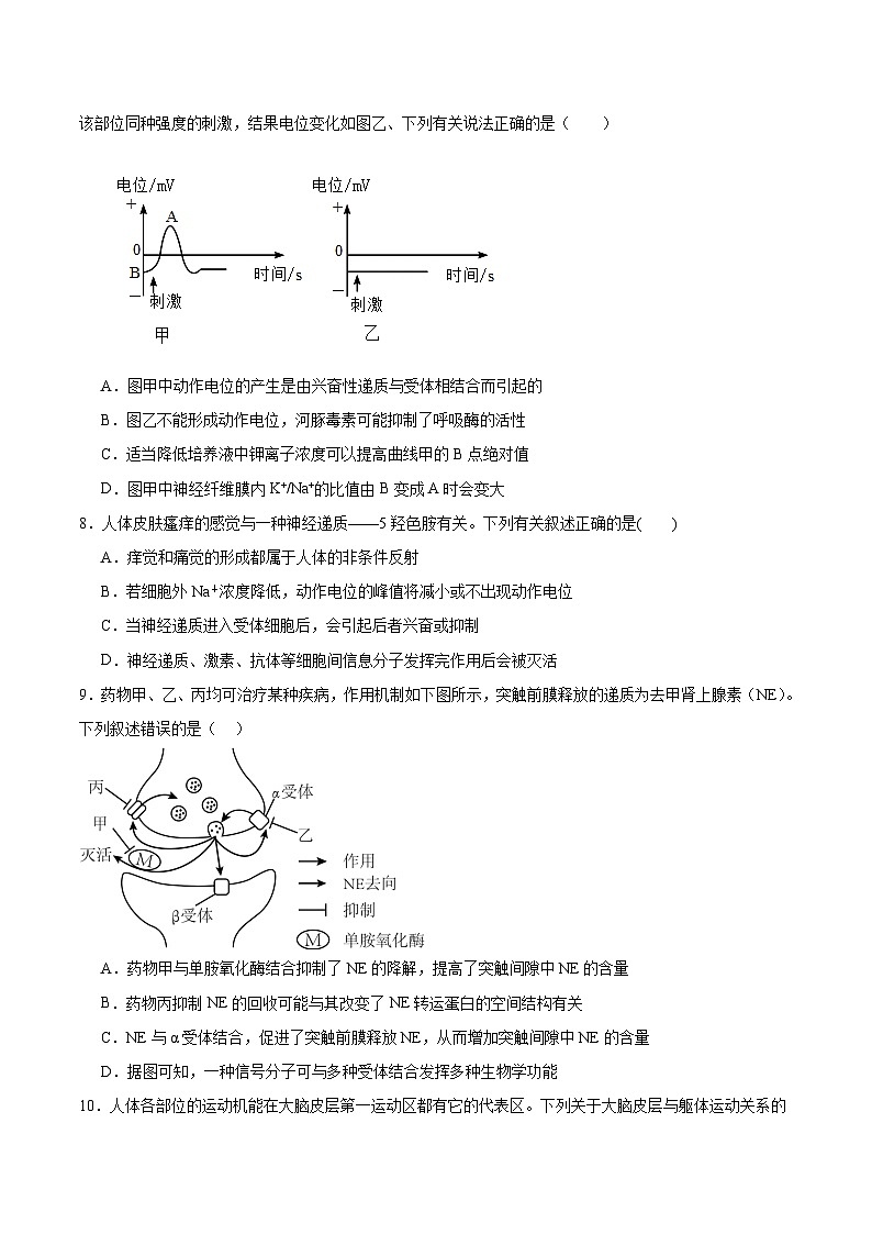 河南省南阳市第一中学2025-2026学年高二上学期10月第二次月考生物试卷（Word版附答案）第3页