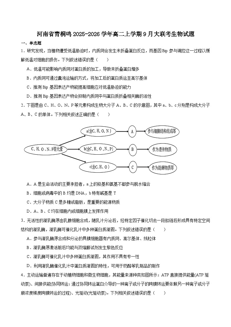 河南省青桐鸣2025-2026学年高二上学期9月大联考生物试卷（Word版附答案）第1页