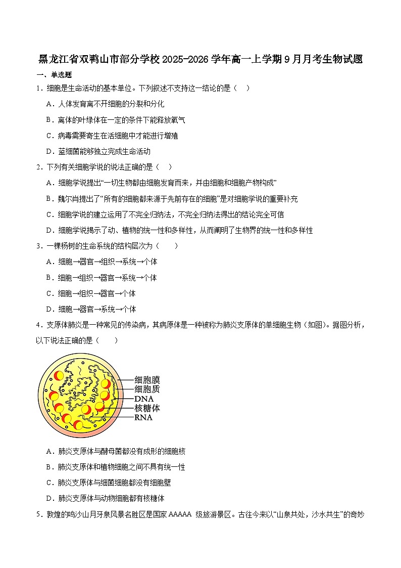 黑龙江省双鸭山市部分学校2025-2026学年高一上学期9月阶段检测（一）生物试卷（Word版附答案）第1页