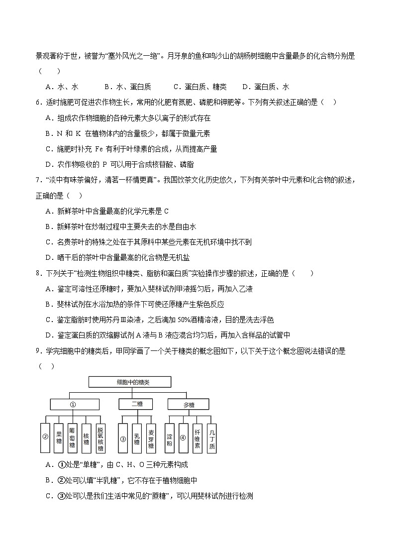 黑龙江省双鸭山市部分学校2025-2026学年高一上学期9月阶段检测（一）生物试卷（Word版附答案）第2页