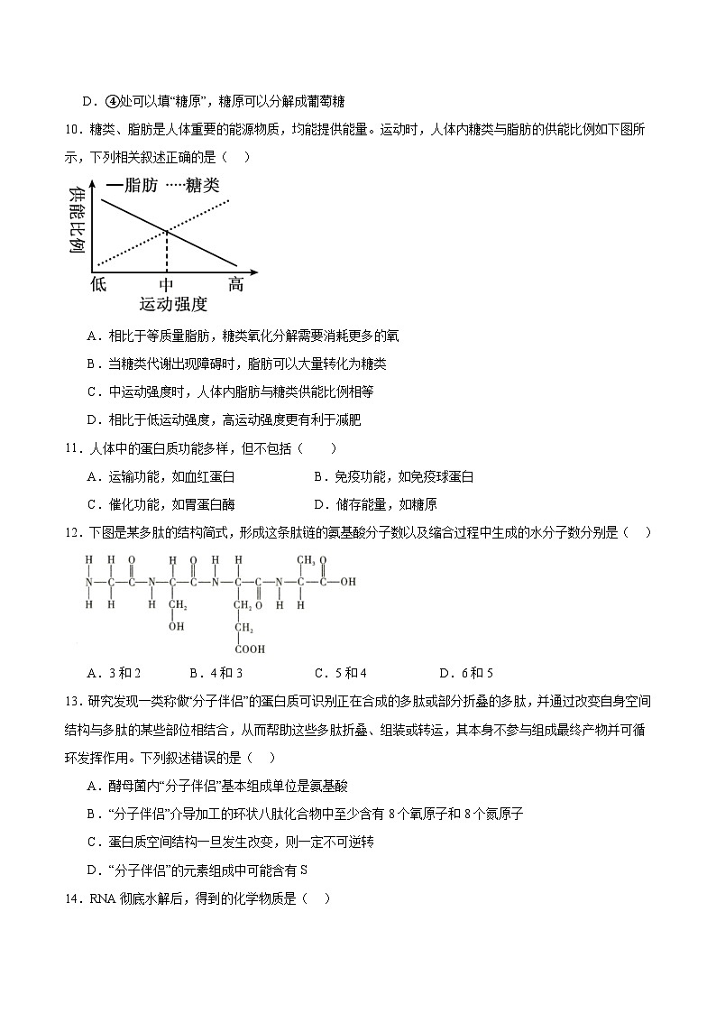 黑龙江省双鸭山市部分学校2025-2026学年高一上学期9月阶段检测（一）生物试卷（Word版附答案）第3页