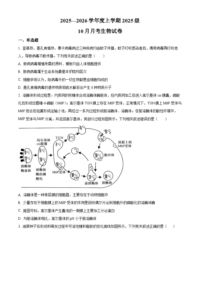湖北省荆州市沙市中学2025-2026学年高一上学期10月月考生物试题（原卷版）第1页