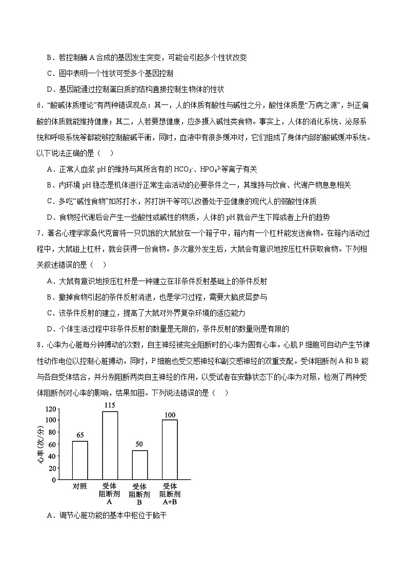 湖北省沙市中学2025-2026学年高二上学期10月月考生物试卷（Word版附答案）第2页