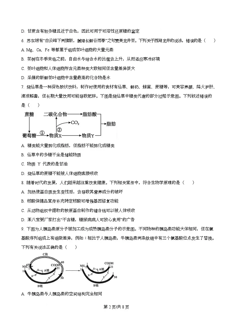 湖北省武汉市部分重点中学2025-2026学年高一上学期10月月考生物试卷（原卷版）第2页
