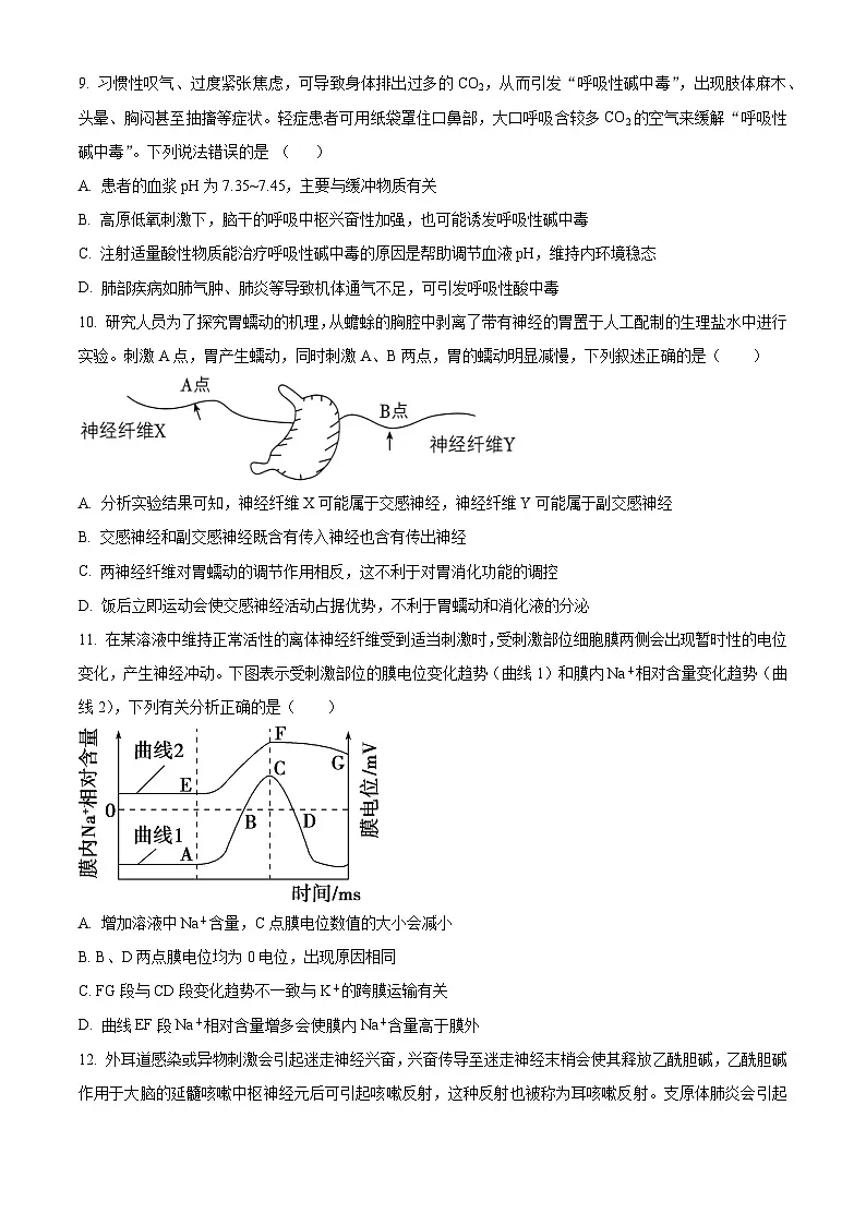 湖北省襄阳市第四中学2025-2026学年高二上学期10月月考生物试题（原卷版）第3页
