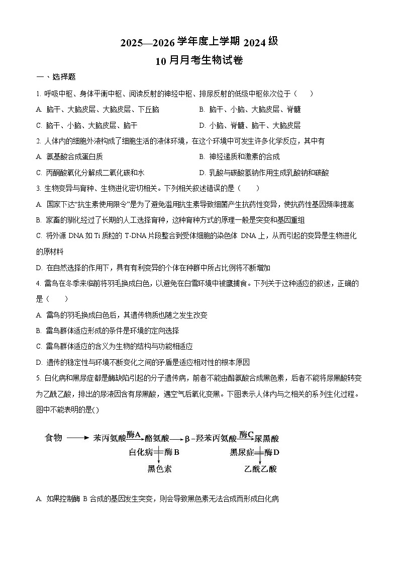 湖北省荆州市沙市中学2025-2026学年高二上学期10月月考生物试卷第1页