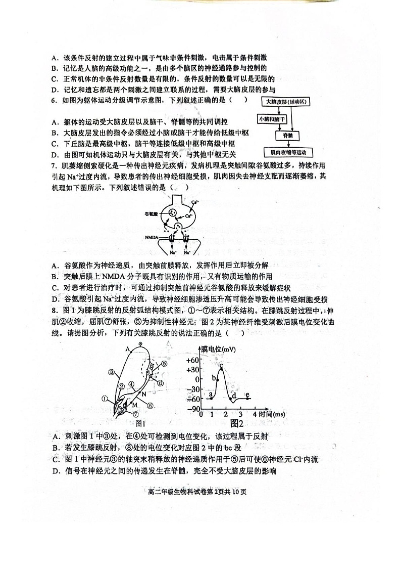 辽宁省大连市第八中学2025-2026学年高二上学期10月月考生物试卷第2页