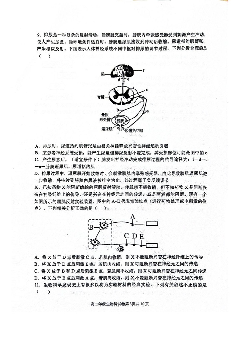辽宁省大连市第八中学2025-2026学年高二上学期10月月考生物试卷第3页