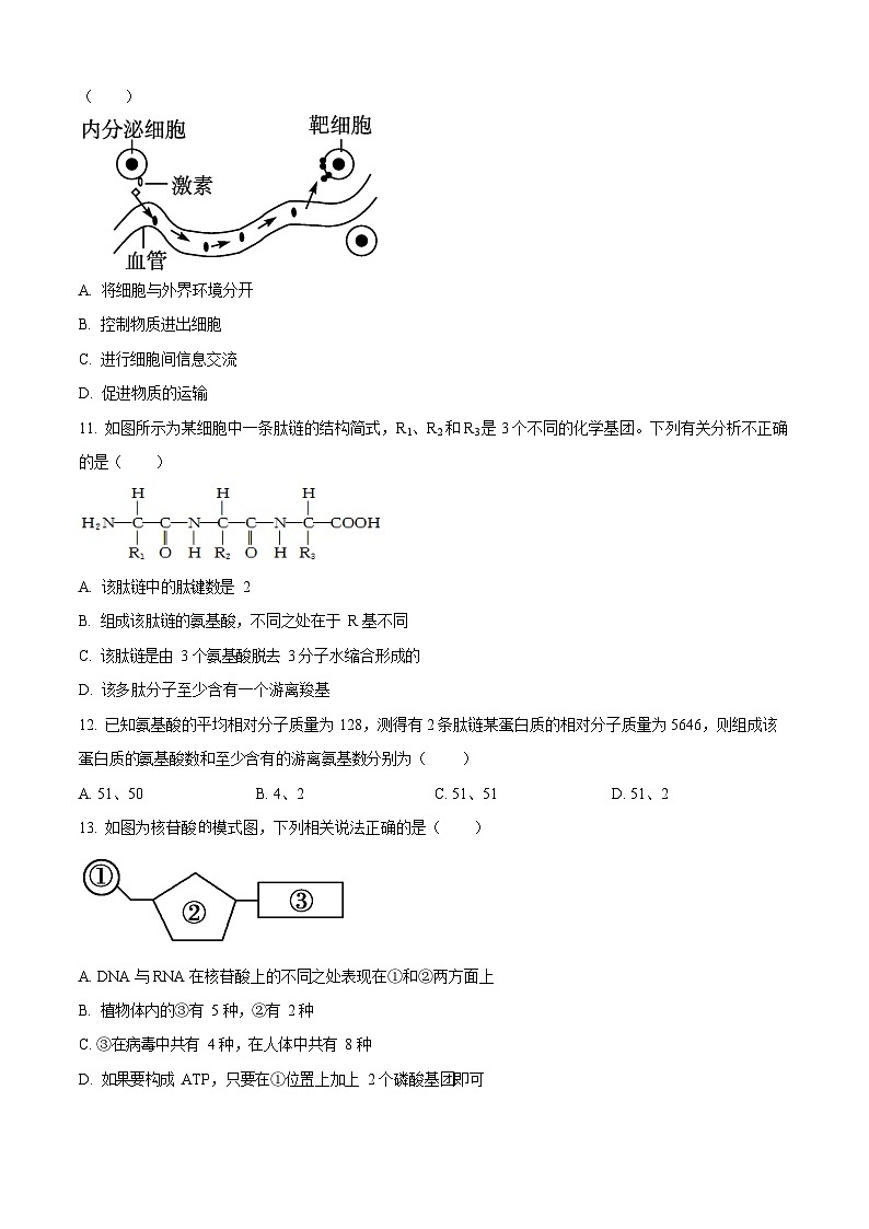 四川省南充市嘉陵第一中学2025-2026学年高一上学期10月考试生物试卷第3页