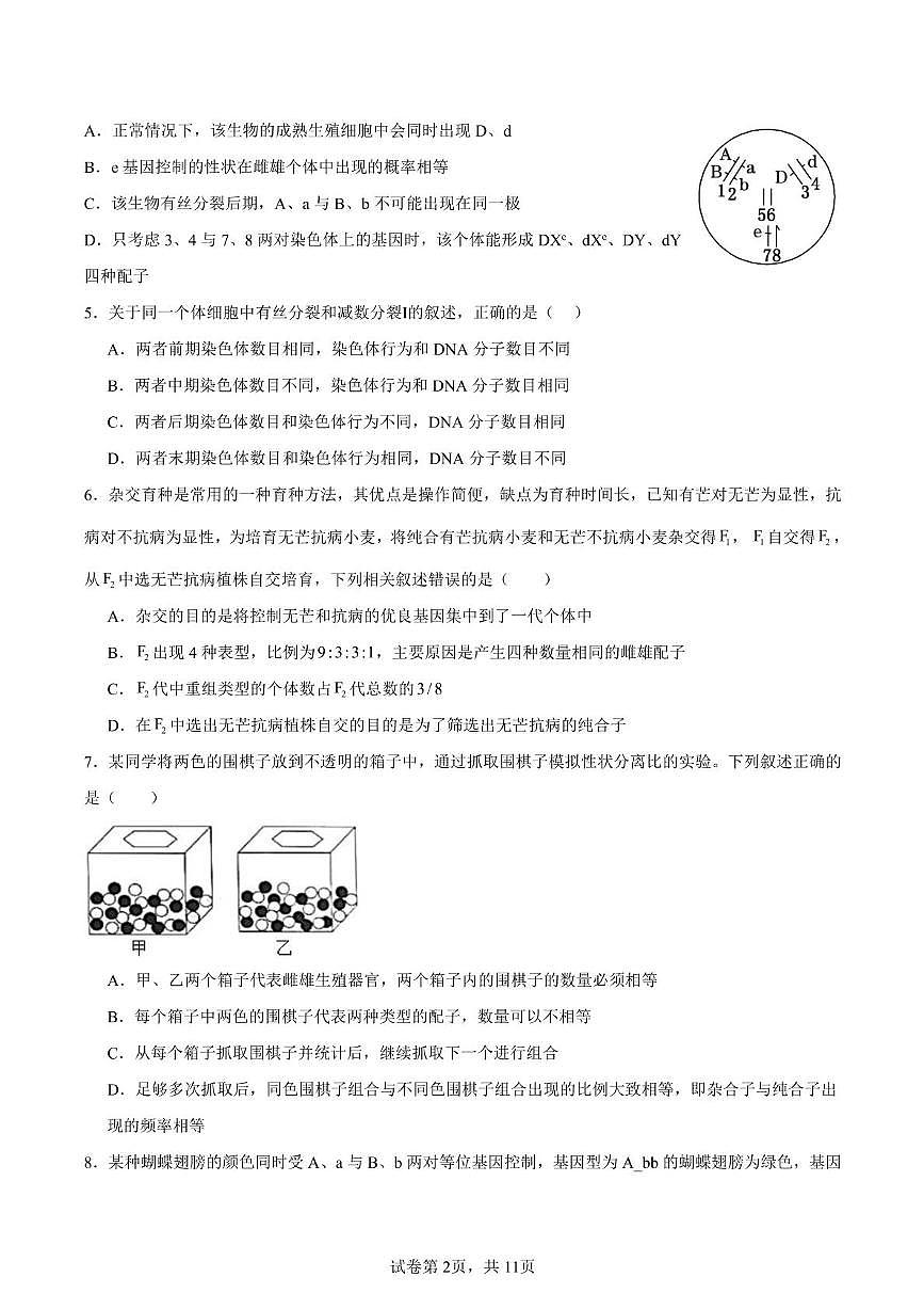 山东省泰安市新泰市第一中学北校2024-2025学年高一下学期4月期中生物试卷第2页