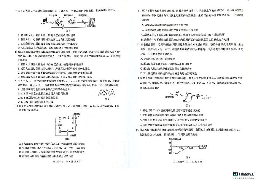 广西贵百河2025-2026学年高二上学期10月月考生物试卷第2页