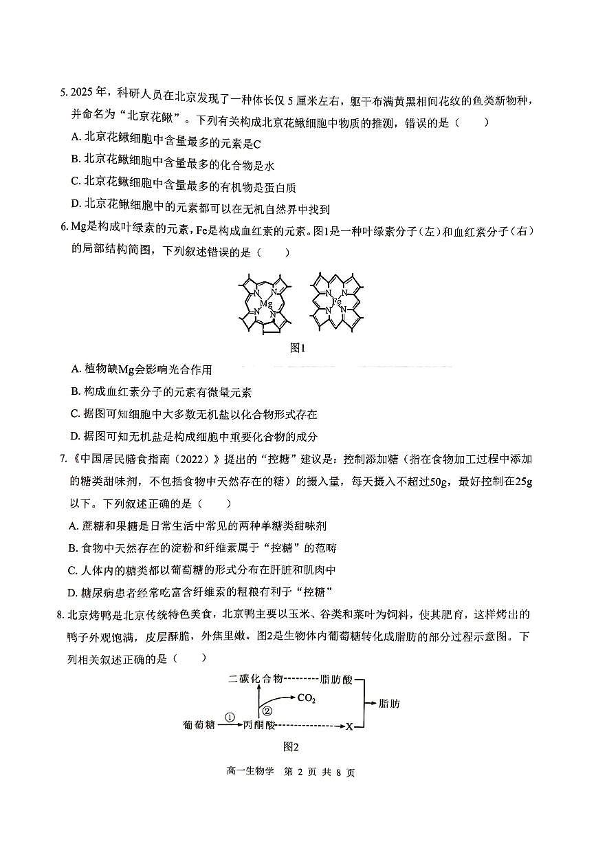 广西贵百河2025-2026学年高一上学期10月考试卷生物试卷第2页