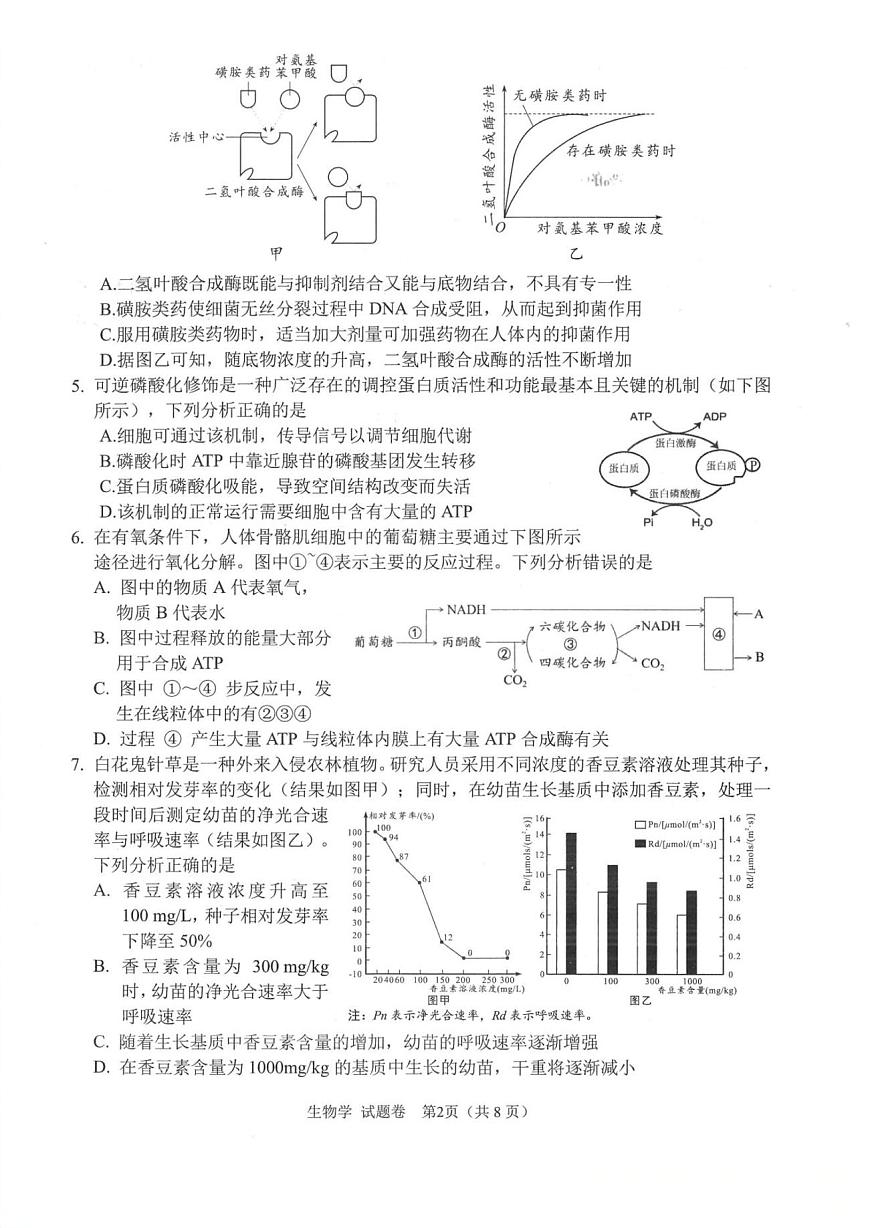 2025年绵阳高三上学期10月生物试题无答案第2页