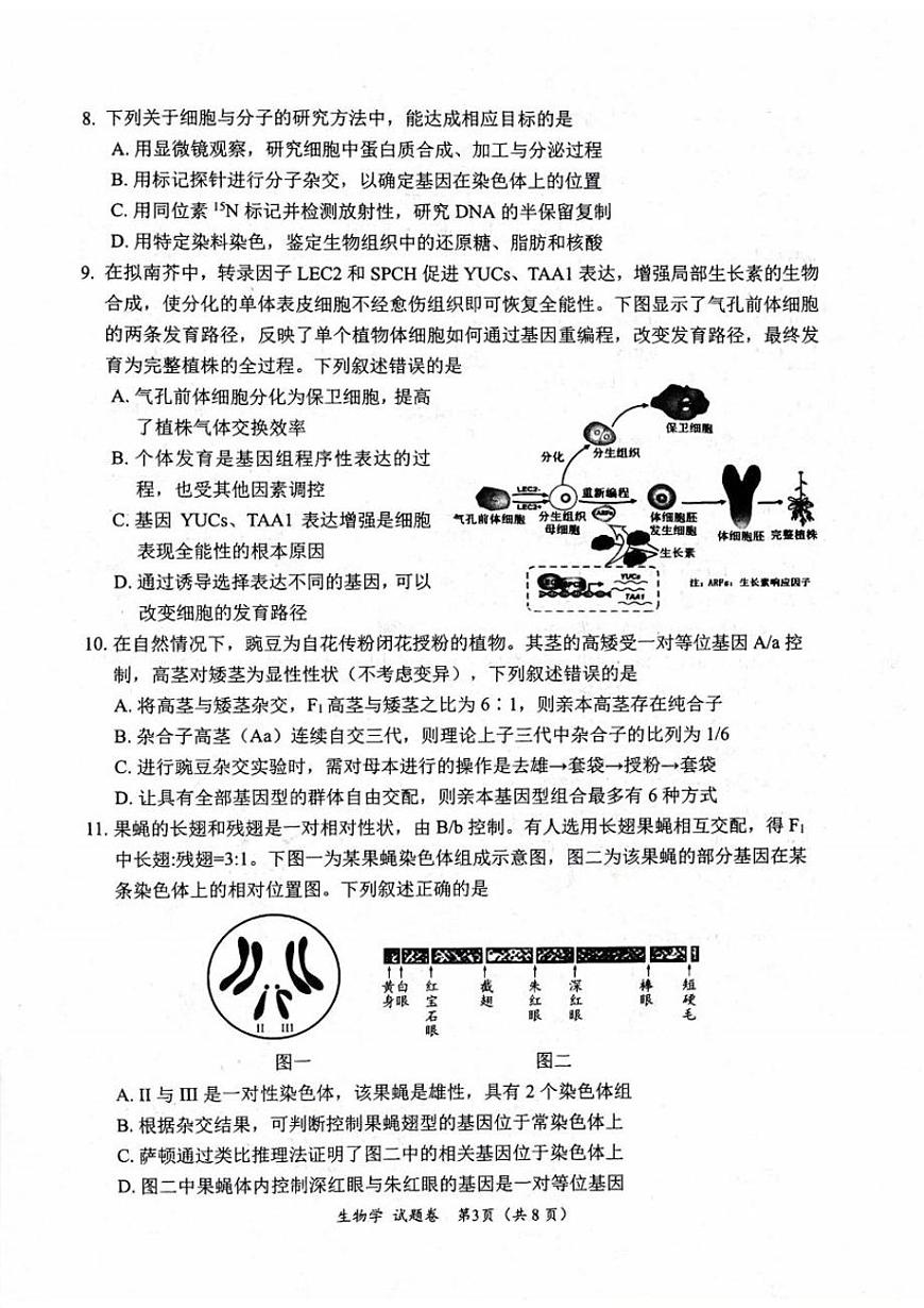 绵阳市高中2023级第一次诊断性考试生物（其他地区B卷）第3页