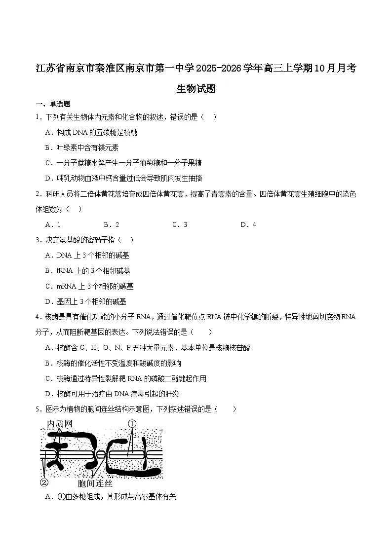 江苏省南京市第一中学2025-2026学年高三上学期10月月考生物试卷（Word版附答案）第1页