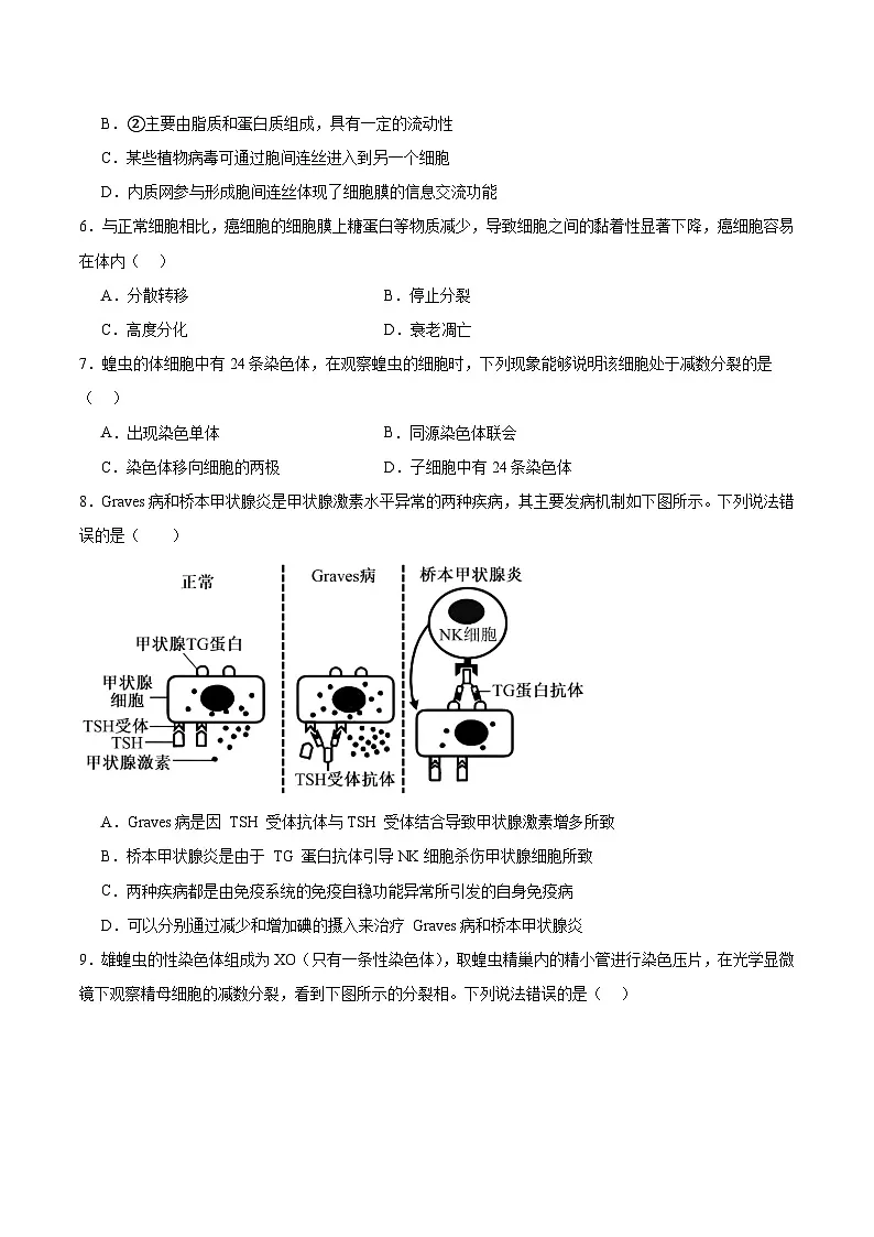 江苏省南京市第一中学2025-2026学年高三上学期10月月考生物试卷（Word版附答案）第2页