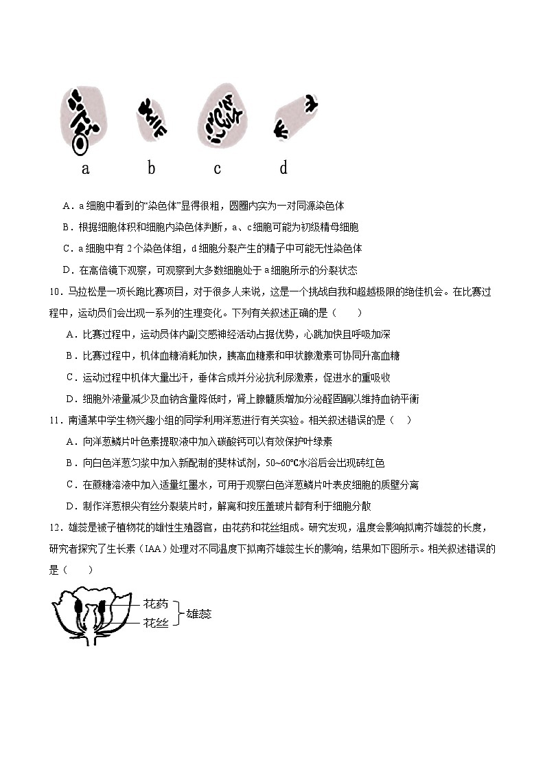 江苏省南京市第一中学2025-2026学年高三上学期10月月考生物试卷（Word版附答案）第3页