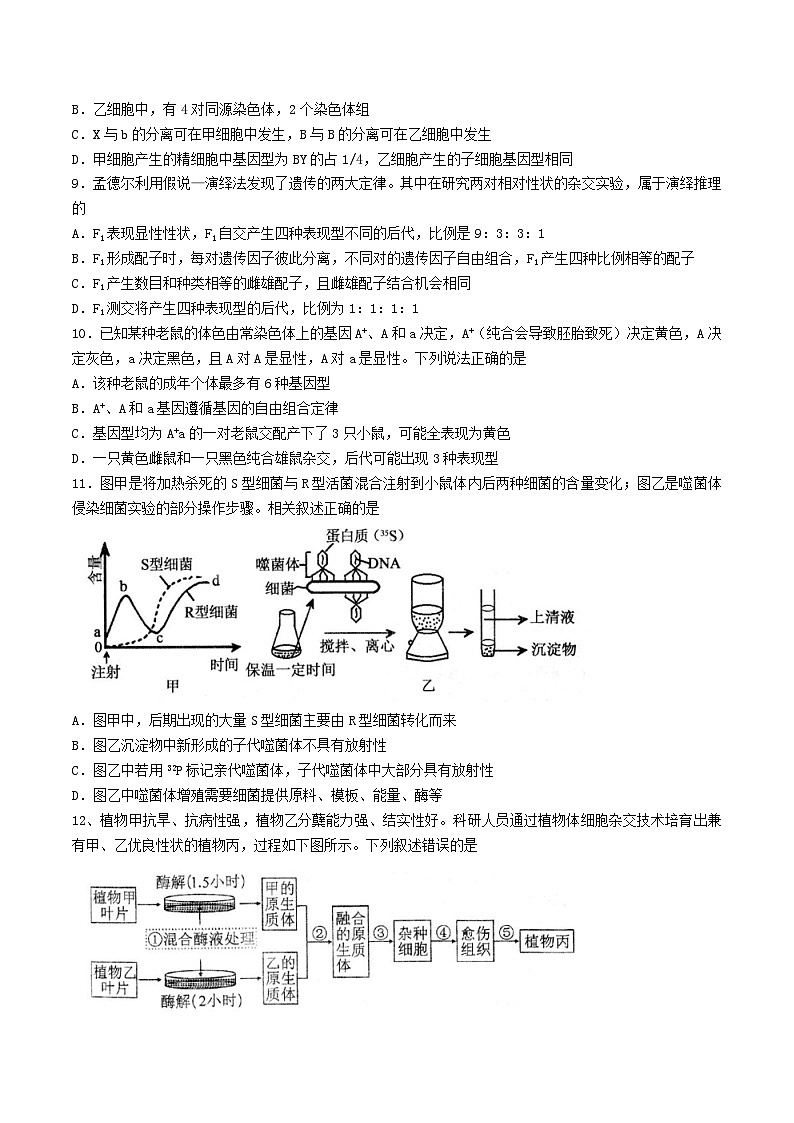 江苏省扬州市高邮市2026届高三上学期10月学情调研测试生物试卷（Word版附答案）第3页