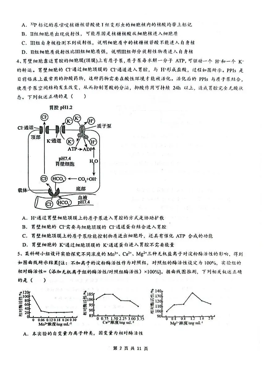 乌鲁木齐市第一中学2025--2026学年第一学期2026届高三年级第二次月考生物第2页