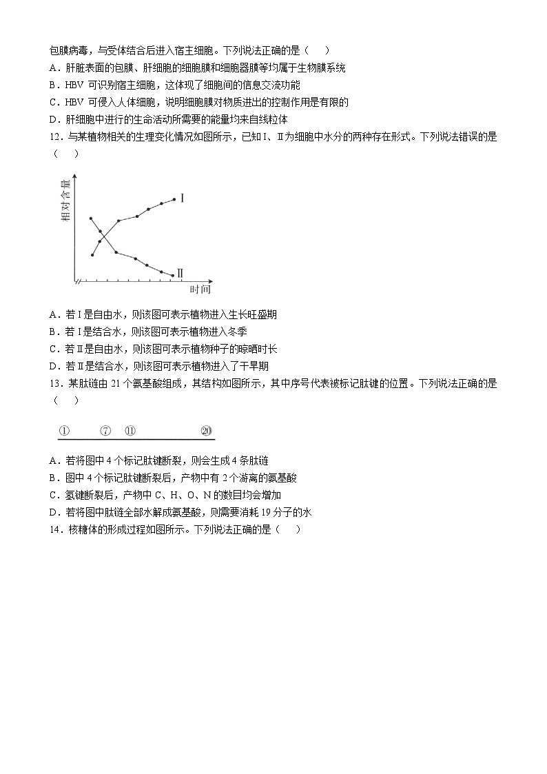 福建省宁德市部分达标学校2024-2025学年高一上学期11月期中质量监测生物试题第3页